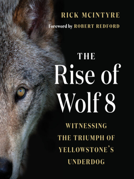 Title details for The Rise of Wolf 8 by Rick McIntyre - Available